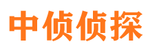 平川侦探公司